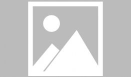 梦幻11最新爆料,揭秘新赛季精彩看点与球员动态